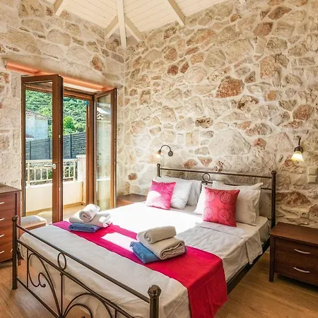 Stephania * Orthoniaí