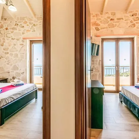 Stephania * Orthoniaí